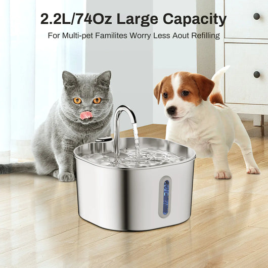 EcoPaw Flow™